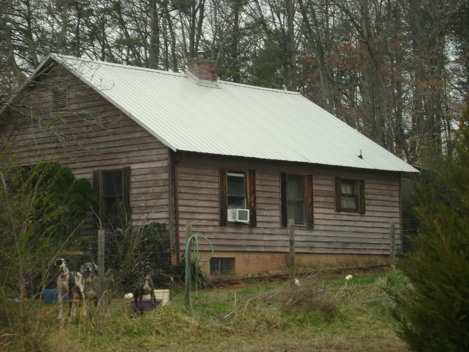 White metal roof on an old wood sided farmhouse, from a Metal Roof Installation job in Grand Junction